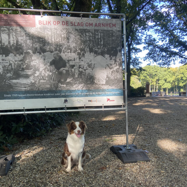 spandoek/informatiepaneel bij buitenexpositie rondom de Airborneherdenkingen