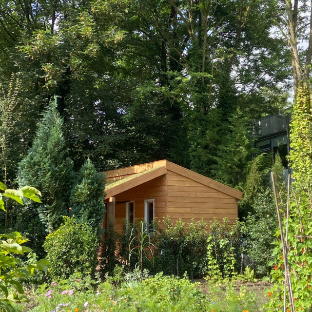 Zijaanzicht schuur met sedumdak vanuit tuin Vandatsoortdingen